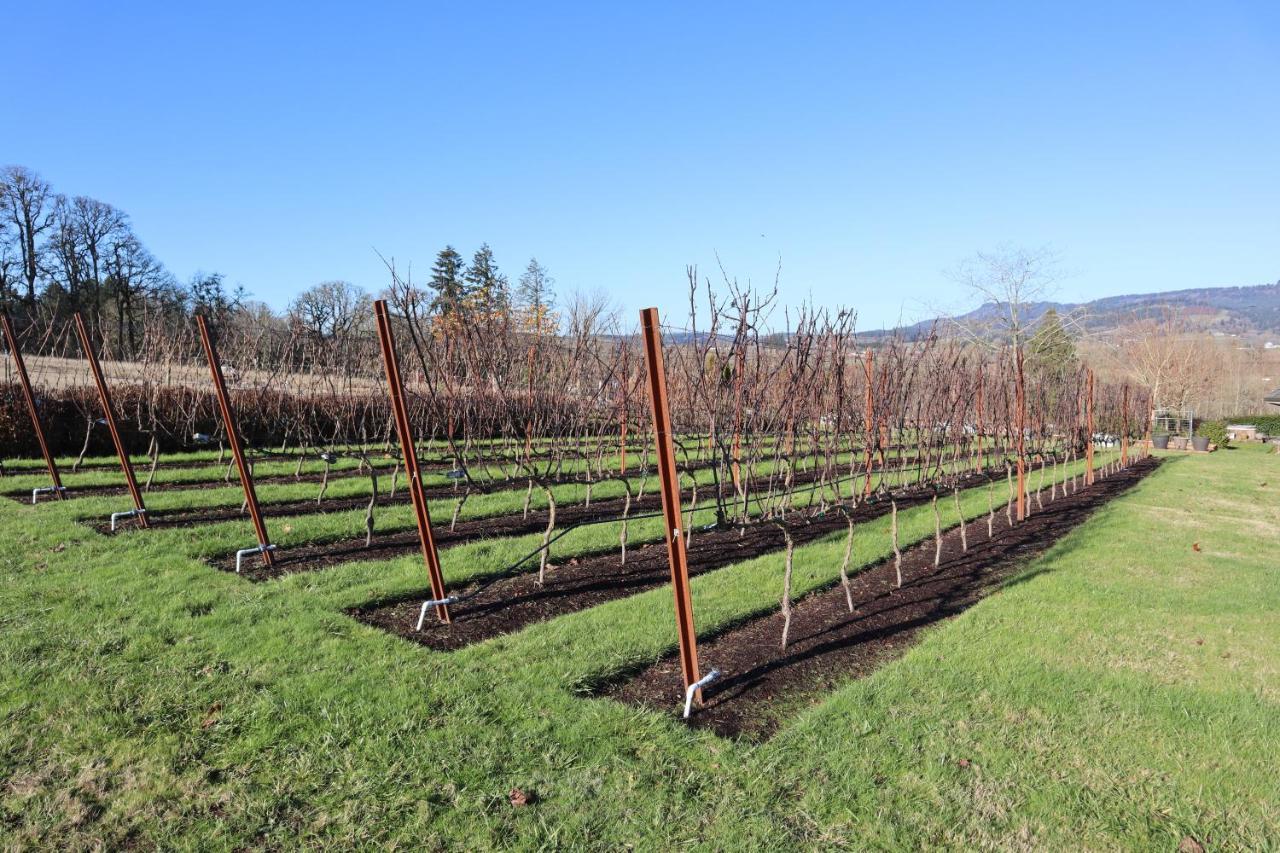 The Setting Inn Willamette Valley นิวเบิร์ก ภายนอก รูปภาพ
